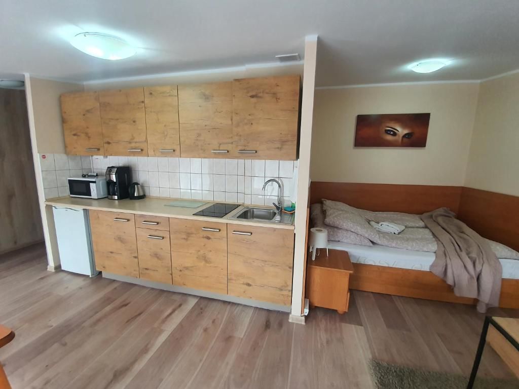 Апартаменты ApartHouse Apartamenty Centrum Катовице-24