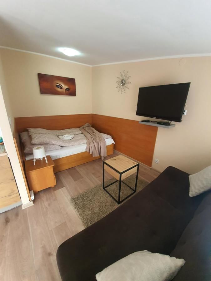 Апартаменты ApartHouse Apartamenty Centrum Катовице-9